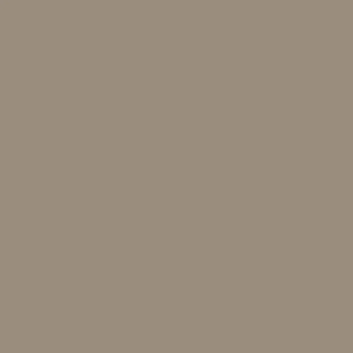 Adventurer Cargo Cotton Short - Chinchilla Brown - Image 11