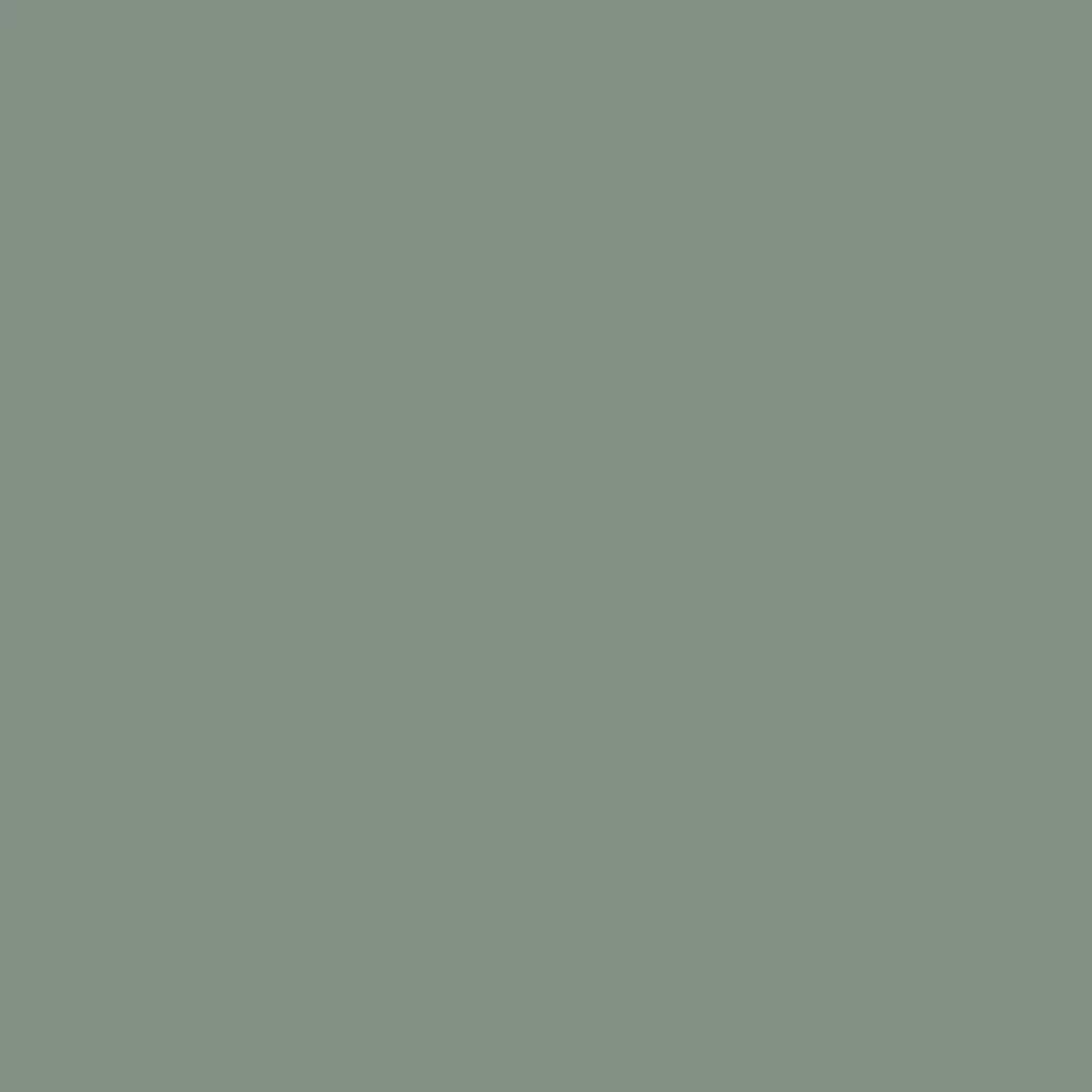 Chill Short Sleeve Shirt - Pistachio - Image 10